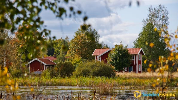 Accommodation