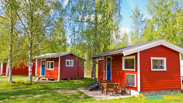 Accommodation