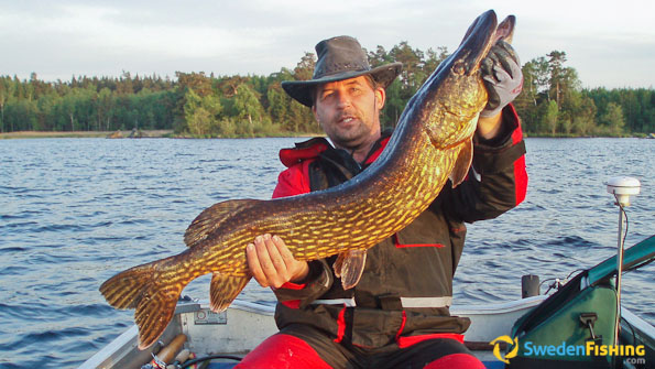 Fishing