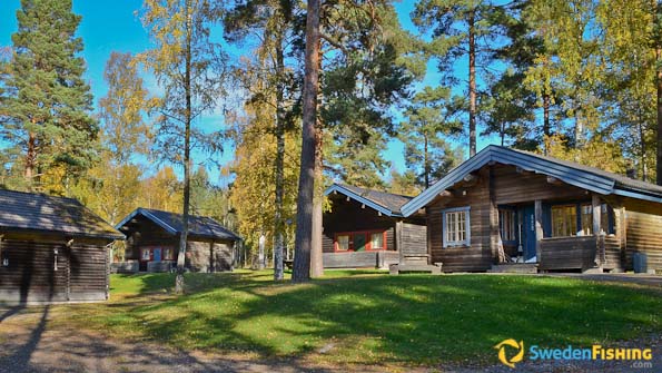 Accommodation