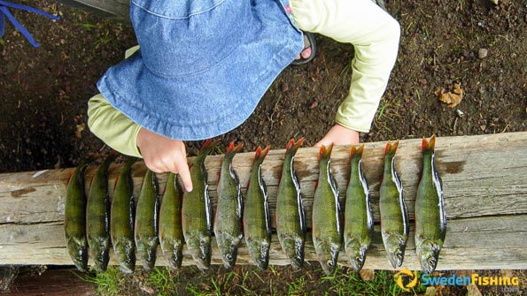 Fishing