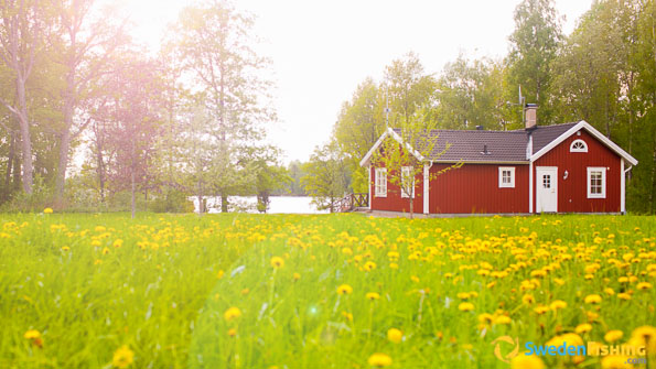 Accommodation
