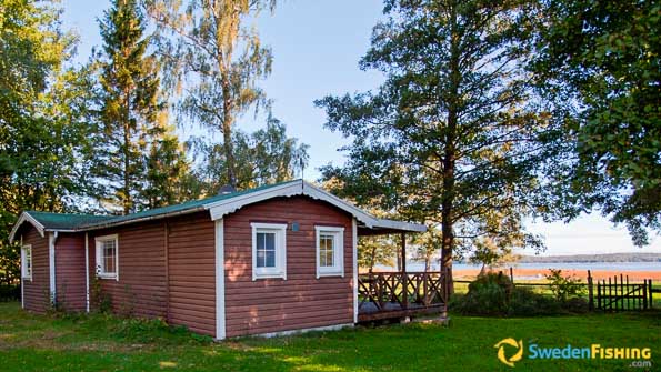 Accommodation