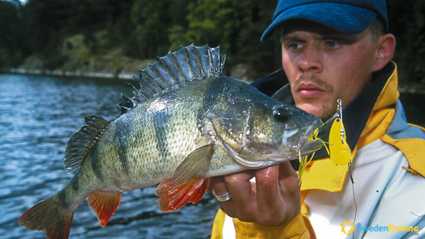 Fishing