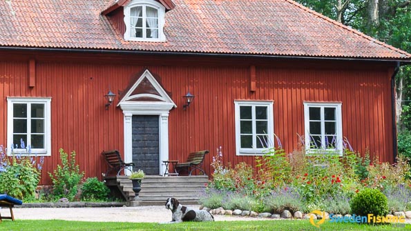 Accommodation