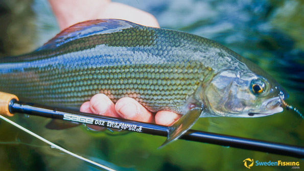 Fishing