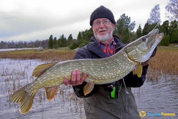 Tulpen Conceit Aanpassen Snoek, snoekbaars, kabeljauw en zeeforel | Zuid | SwedenFishing