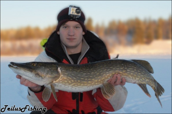 Blogs, Article about pike and perch in Lesjön