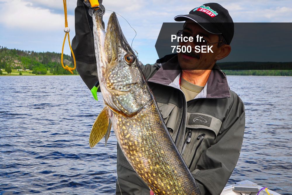 Pike Fishing package, 7 nights, Skönviks Gård