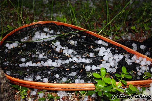 1,5cm diameter hail