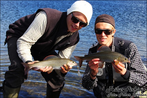 Grayling double